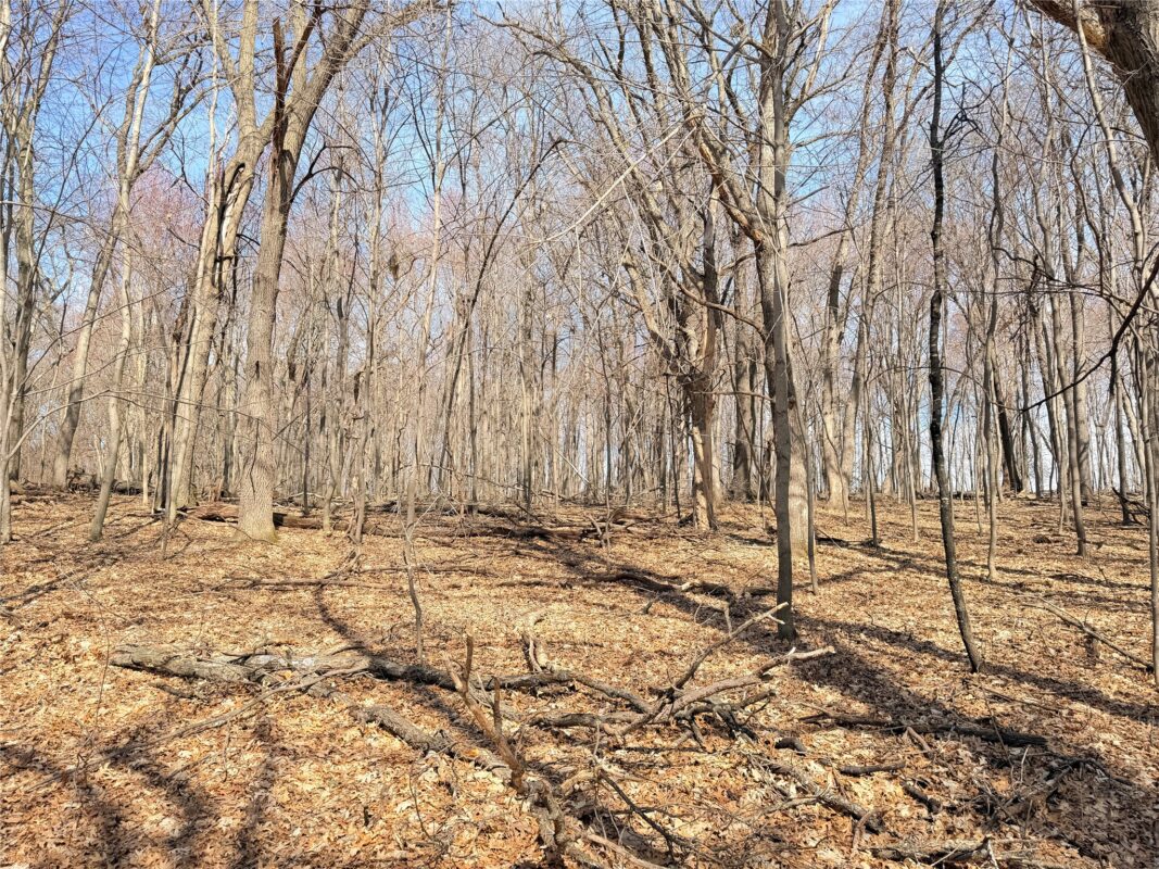 Lot 7 Big Lake Drive Osceola WI 54020 — photo 11