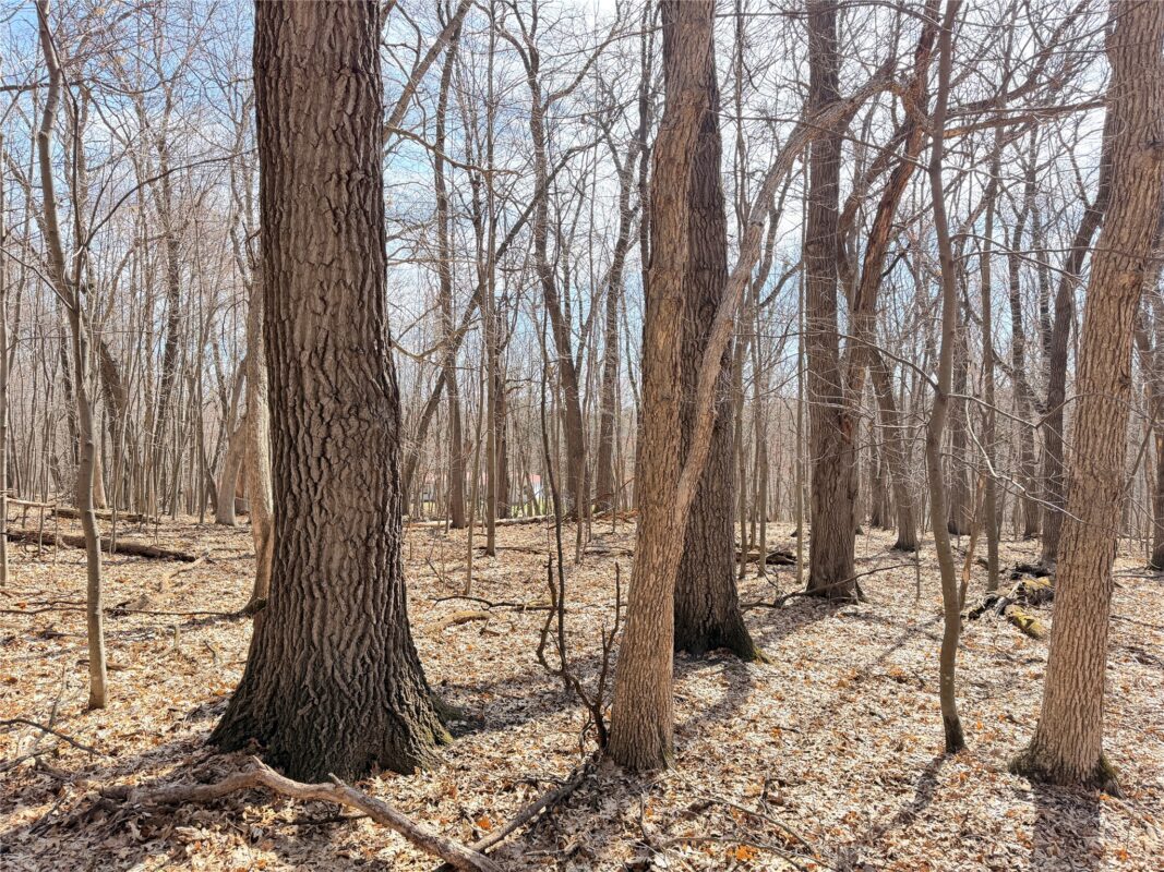 Lot 7 Big Lake Drive Osceola WI 54020 — photo 12