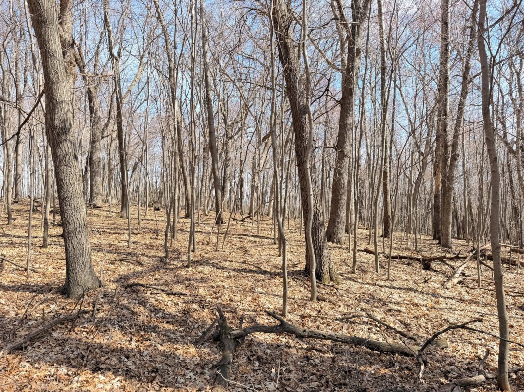Lot 7 Big Lake Drive Osceola WI 54020 — photo 13