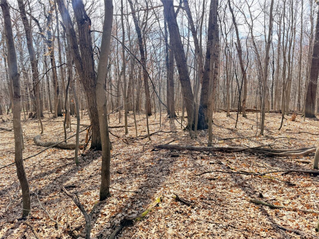Lot 7 Big Lake Drive Osceola WI 54020 — photo 14