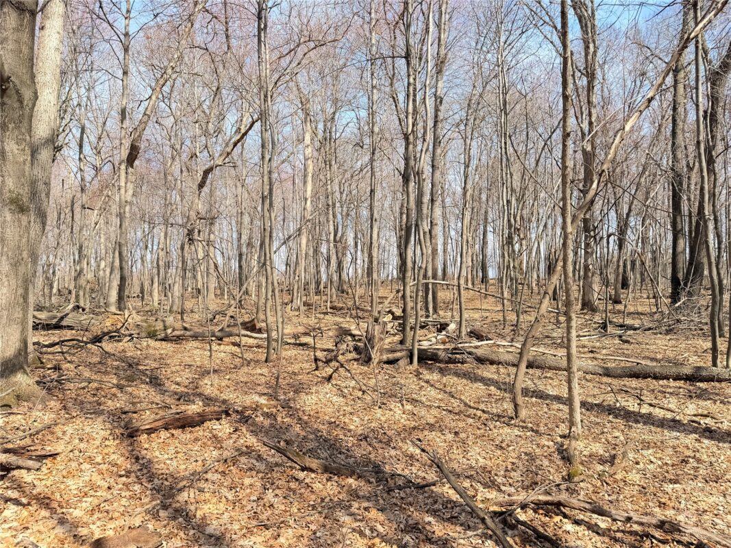 Lot 7 Big Lake Drive Osceola WI 54020 — photo 15