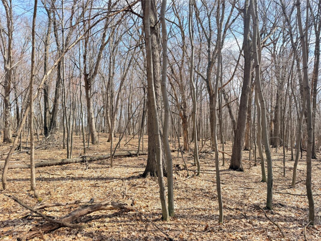 Lot 7 Big Lake Drive Osceola WI 54020 — photo 16