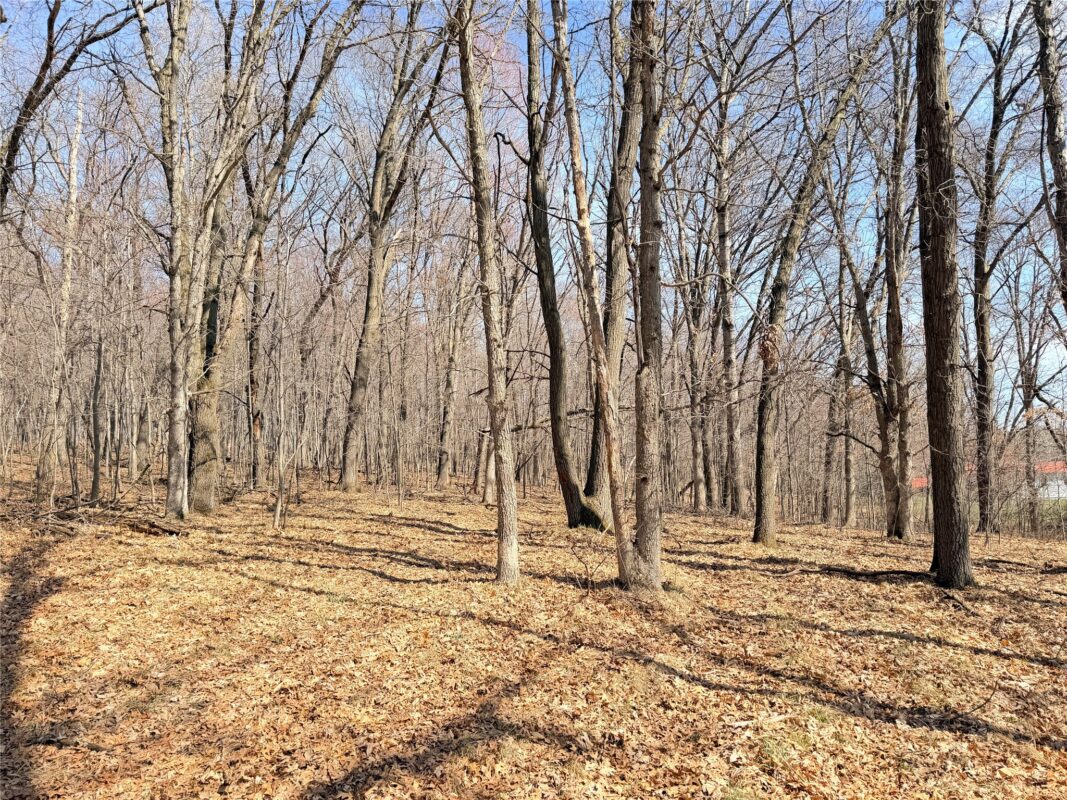 Lot 7 Big Lake Drive Osceola WI 54020 — photo 2