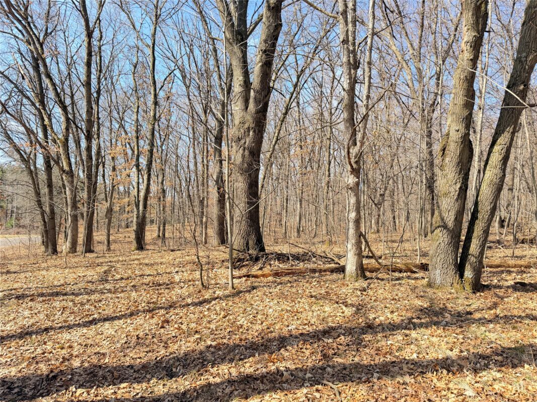Lot 7 Big Lake Drive Osceola WI 54020 — photo 3