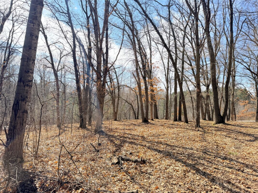 Lot 7 Big Lake Drive Osceola WI 54020 — photo 4