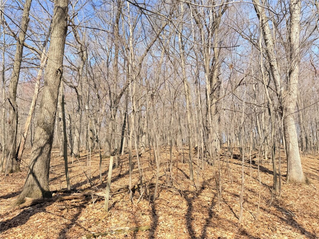 Lot 7 Big Lake Drive Osceola WI 54020 — photo 5