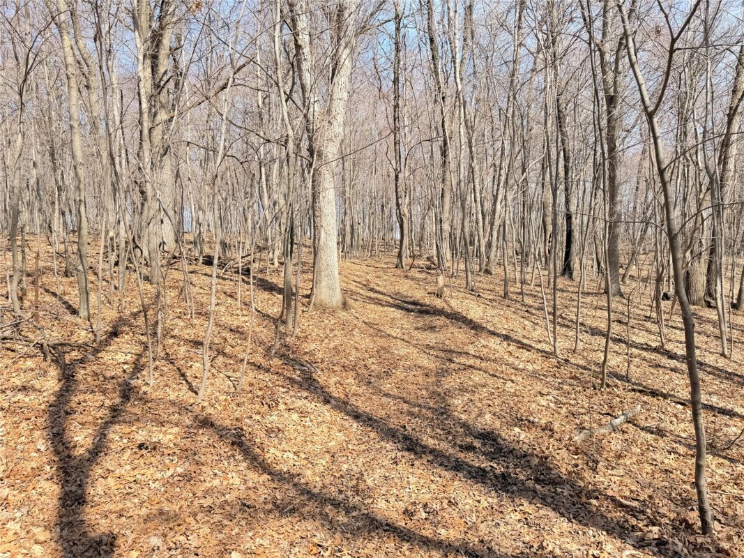 Lot 7 Big Lake Drive Osceola WI 54020 — photo 6