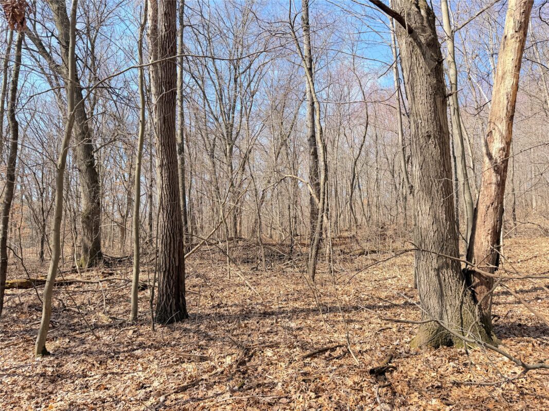 Lot 7 Big Lake Drive Osceola WI 54020 — photo 7