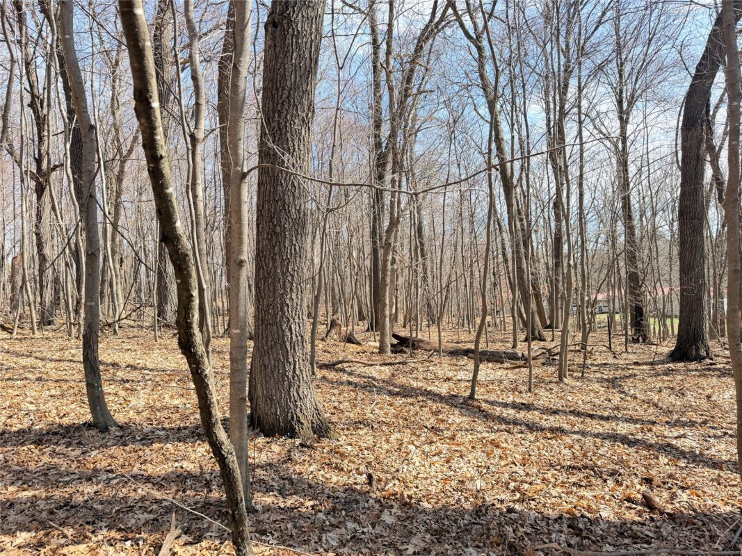 Lot 7 Big Lake Drive Osceola WI 54020 — photo 8