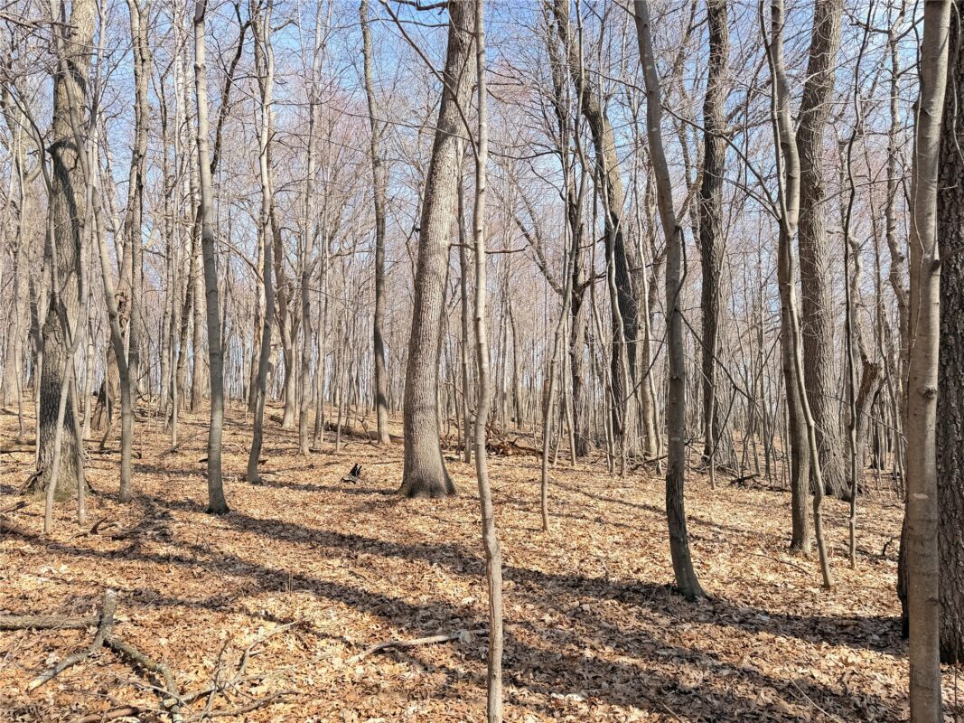Lot 7 Big Lake Drive Osceola WI 54020 — photo 9