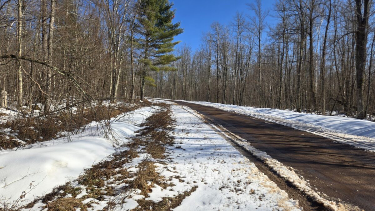 Lot 90 Silver Birch Drive Cable WI 54821 — photo 5