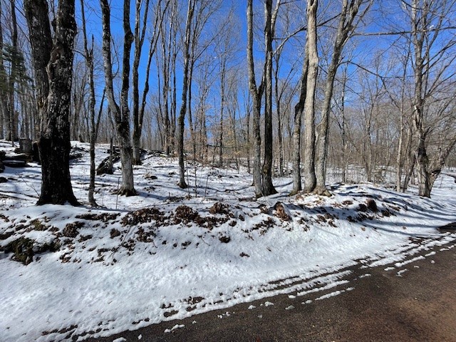 Lots 54 & 55 Wolf Island Road