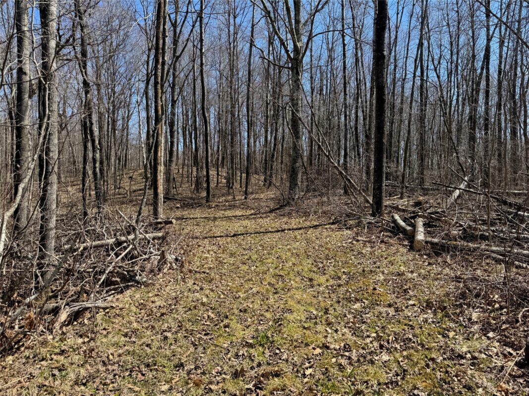 N 4400 Gallagher Road, Stone Lake, WI — photo 47