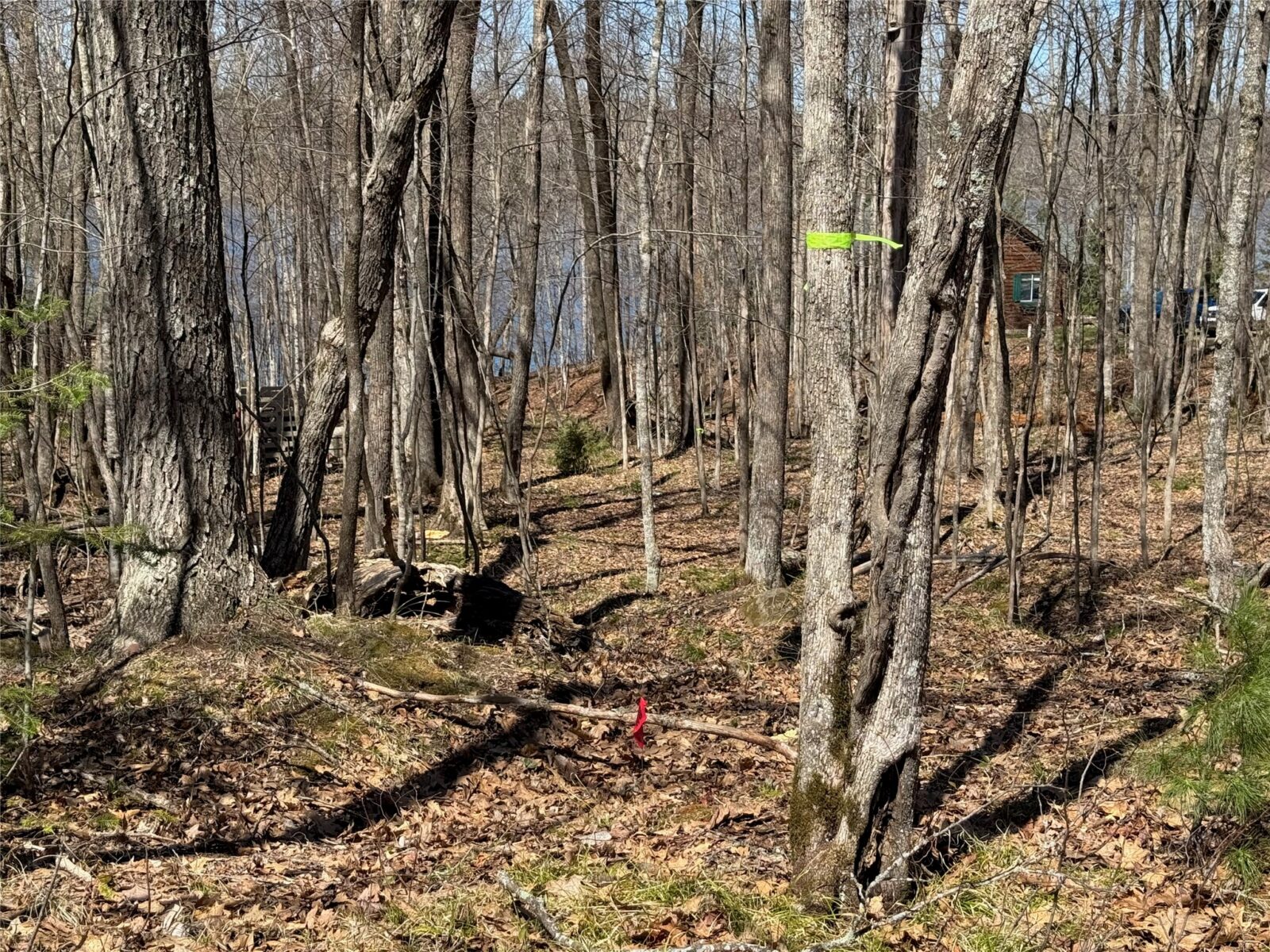 N 4400 Gallagher Road, Stone Lake, WI — photo 6