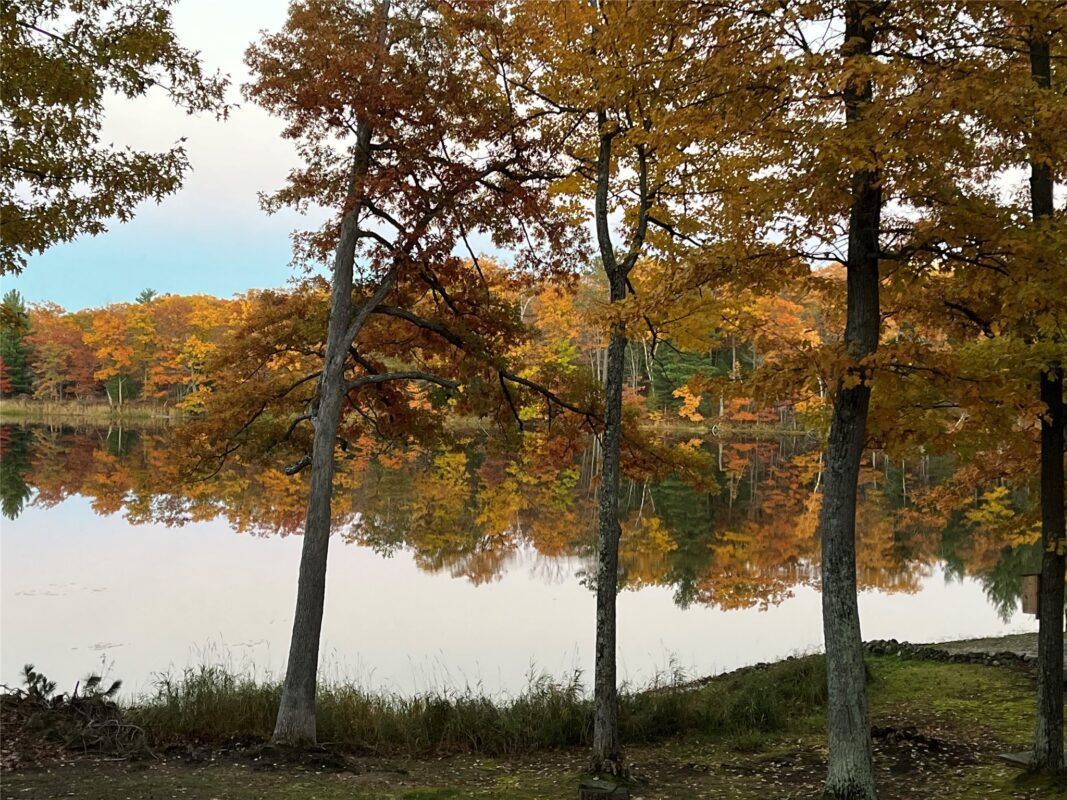 N 5284 Golden Pond, Stone Lake, WI — photo 3
