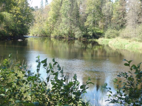 N15671 Evergreen Road, Park Falls, WI