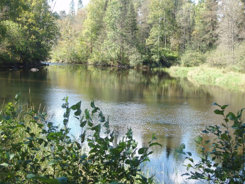 N15671 Evergreen Road