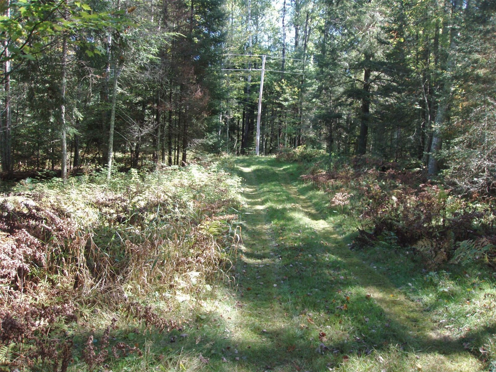 N15671 Evergreen Road, Park Falls, WI — photo 11