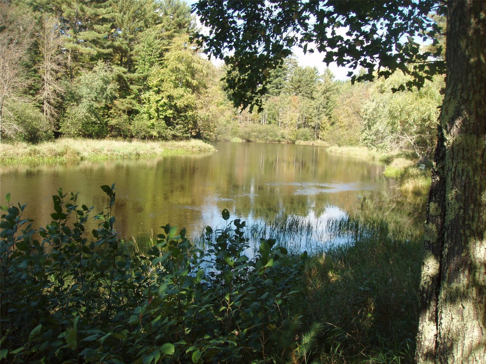 N15671 Evergreen Road, Park Falls, WI — photo 2