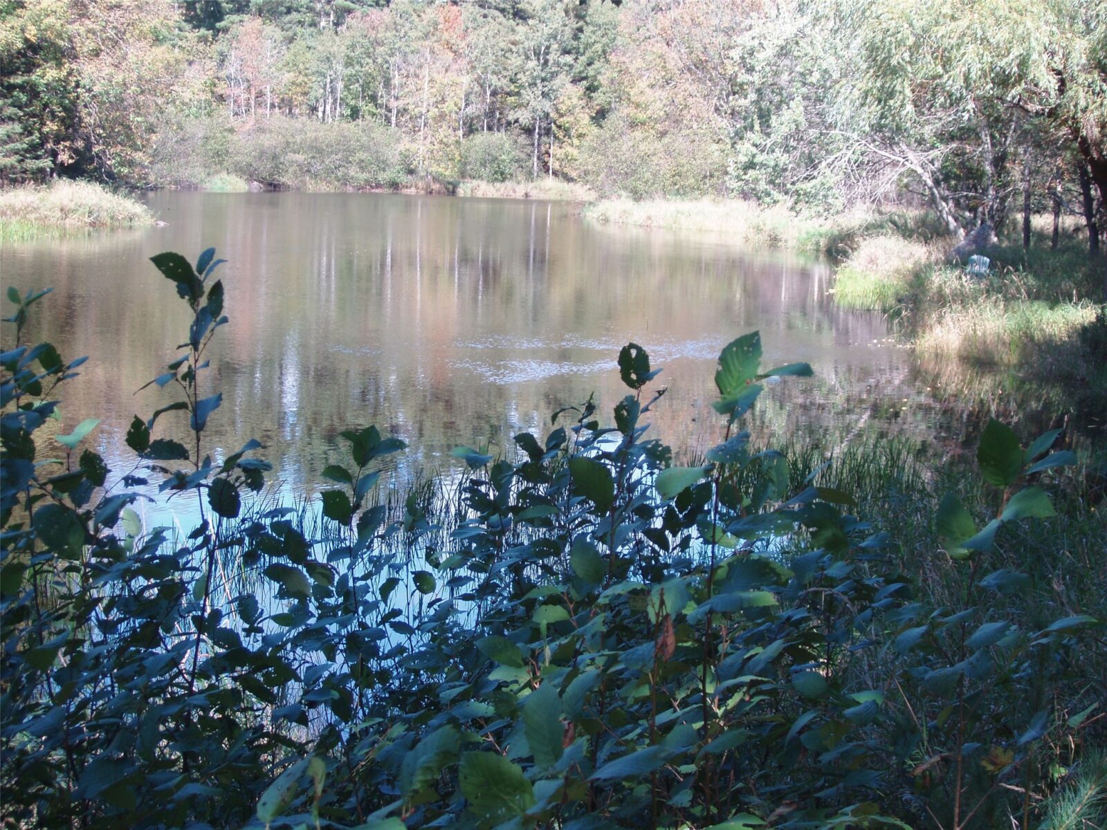 N15671 Evergreen Road, Park Falls, WI — photo 3