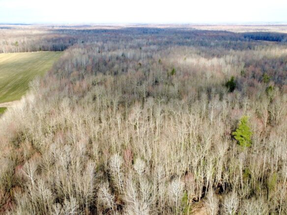 N2615 State Highway 73, Sheldon, WI