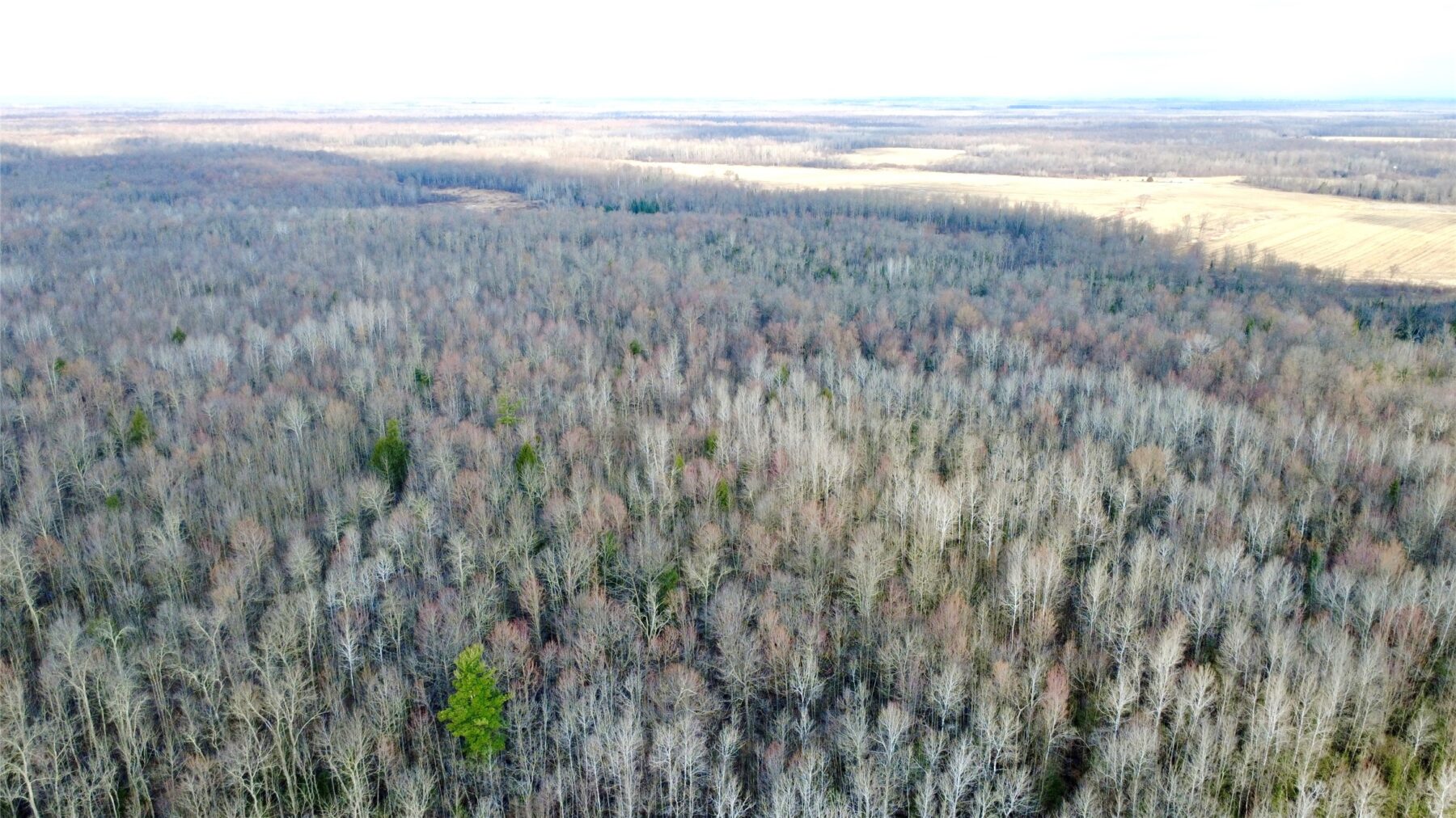 N2615 State Highway 73, Sheldon, WI — photo 12