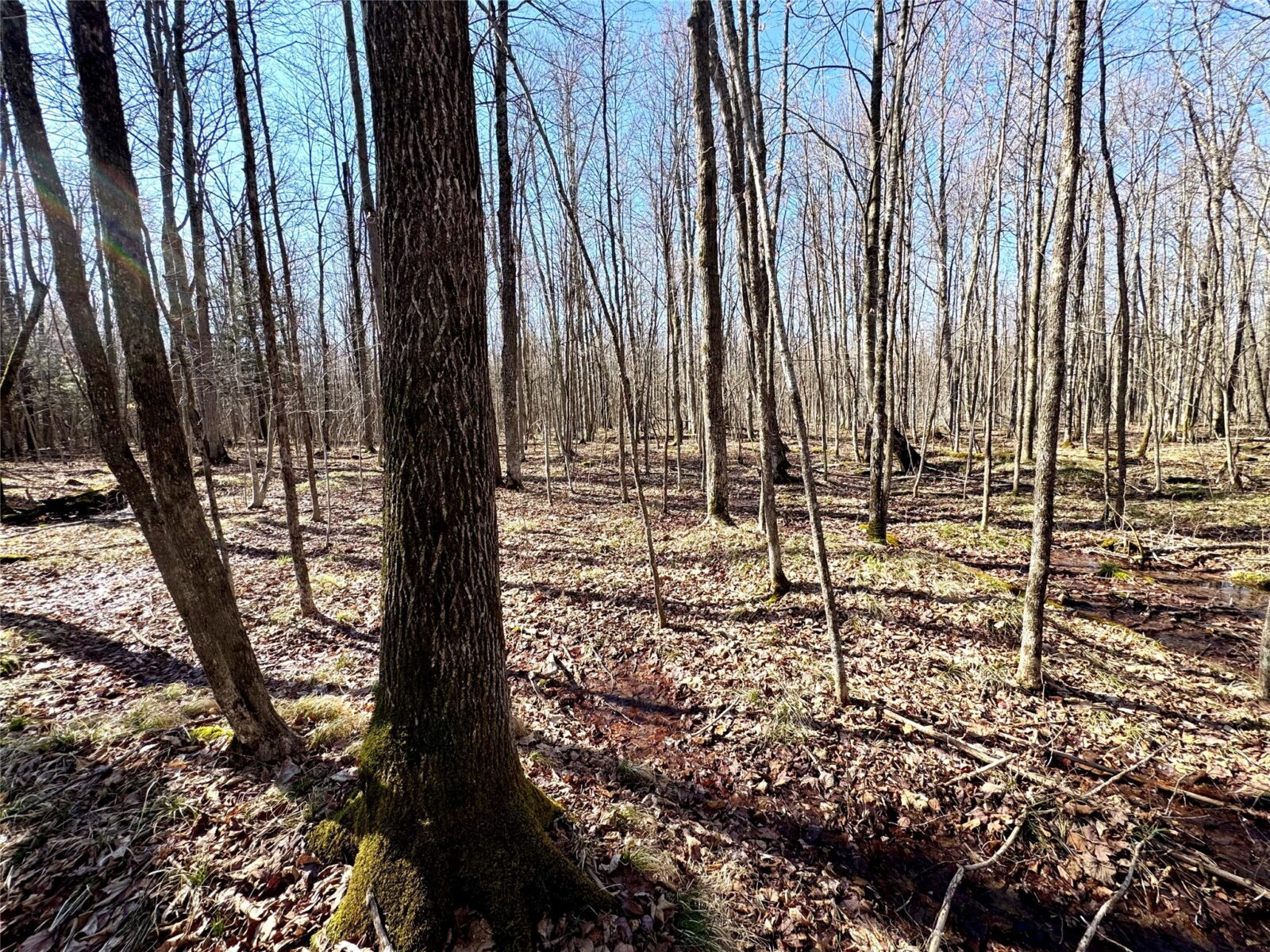 N2615 State Highway 73, Sheldon, WI — photo 13