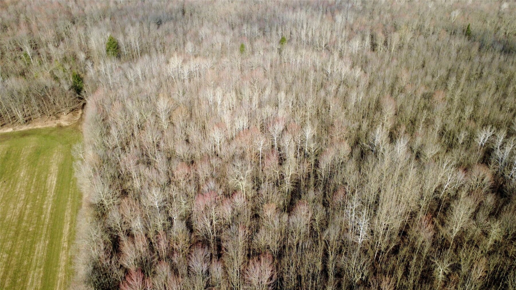 N2615 State Highway 73, Sheldon, WI — photo 16