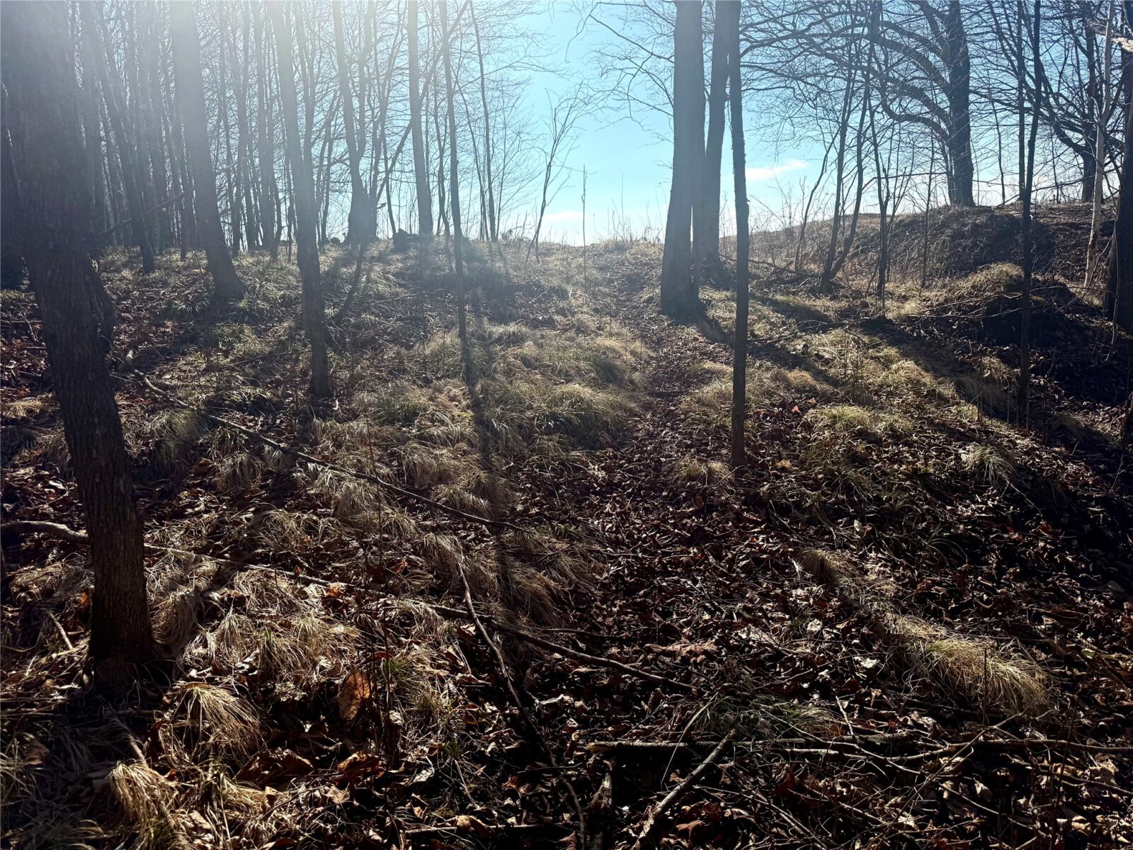 N2615 State Highway 73, Sheldon, WI — photo 17