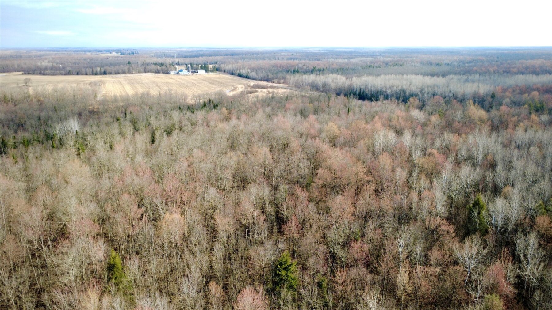 N2615 State Highway 73, Sheldon, WI — photo 19