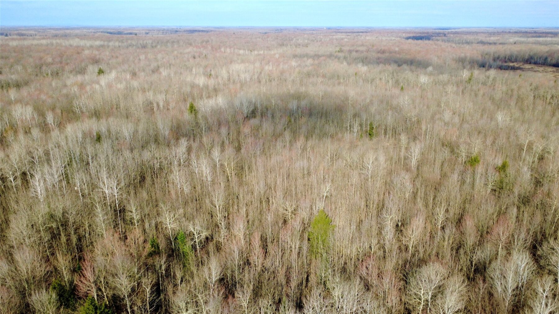 N2615 State Highway 73, Sheldon, WI — photo 21