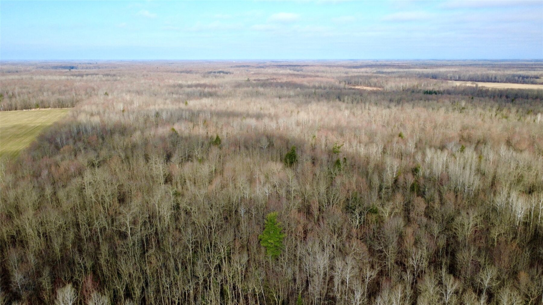 N2615 State Highway 73, Sheldon, WI — photo 24