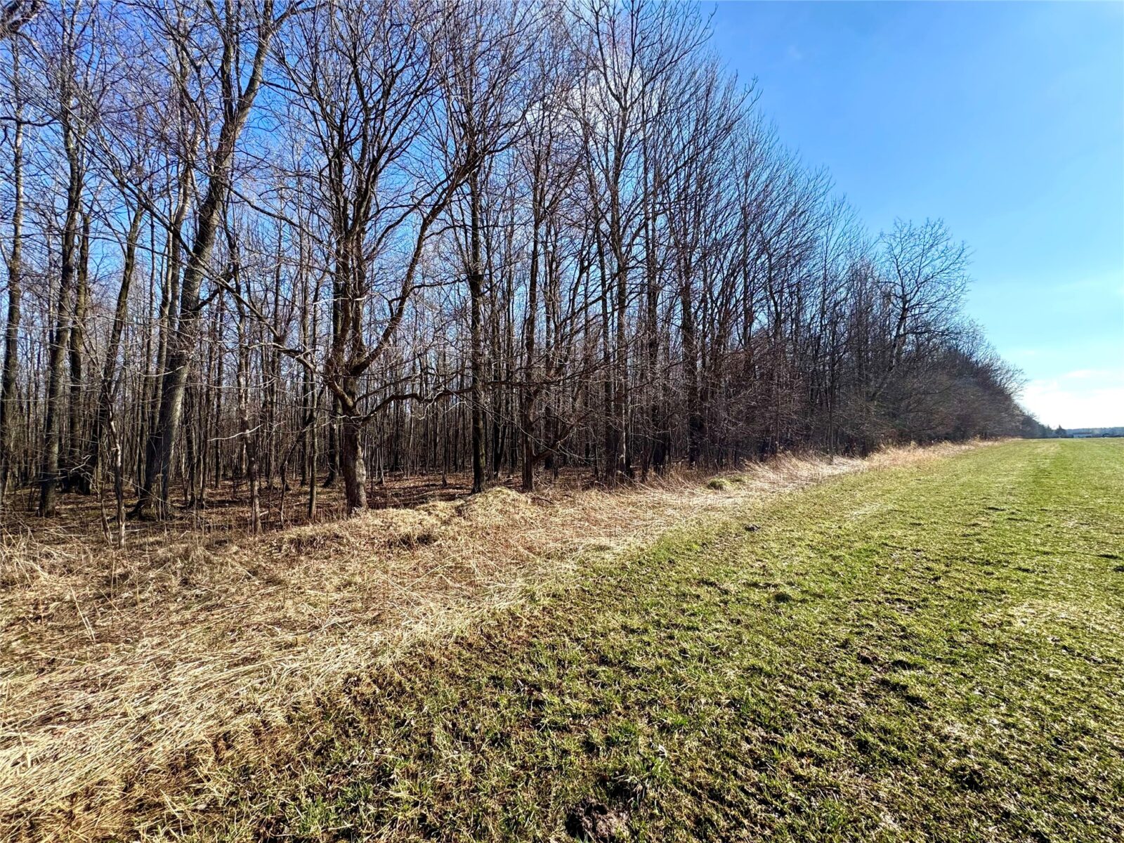 N2615 State Highway 73, Sheldon, WI — photo 5