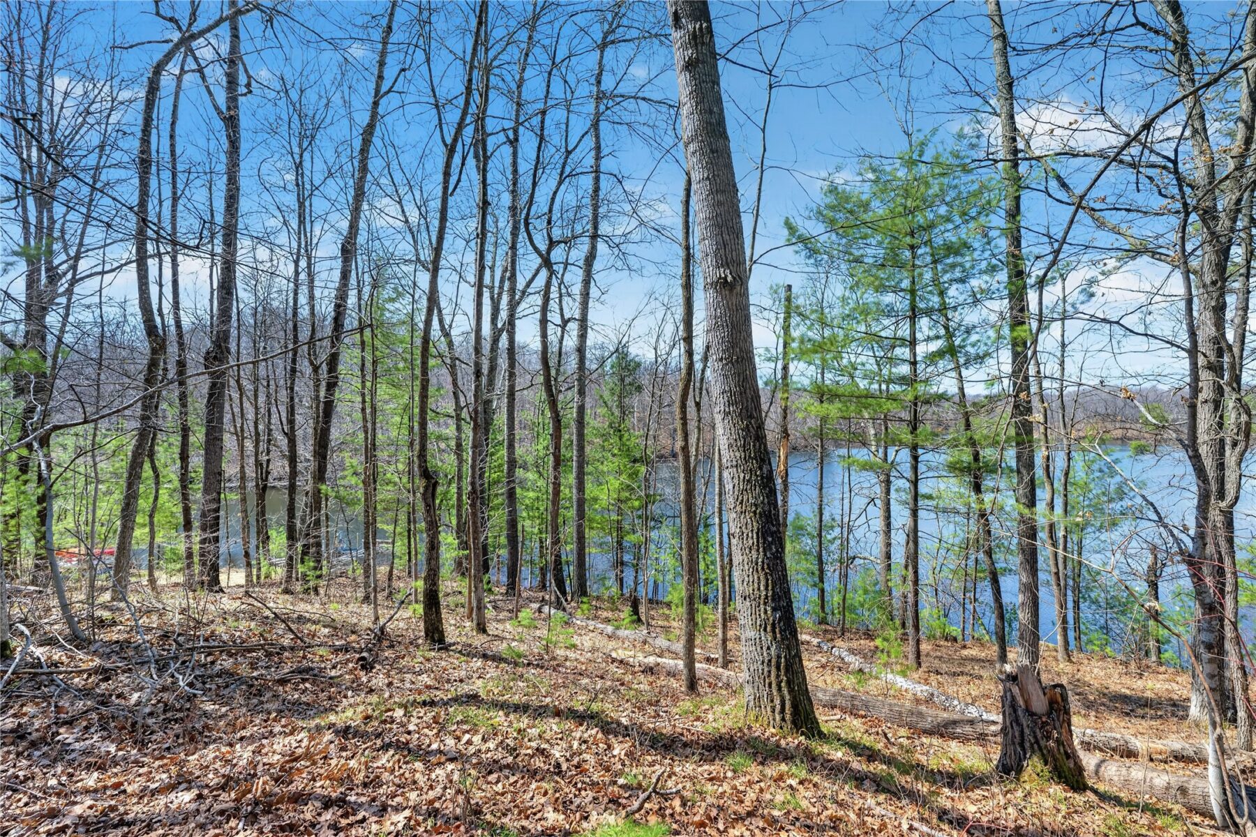 N291 Balsam Lake Road, Birchwood, WI — photo 6