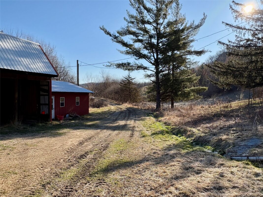 N3430 County Road II Bangor WI 54614 — photo 16