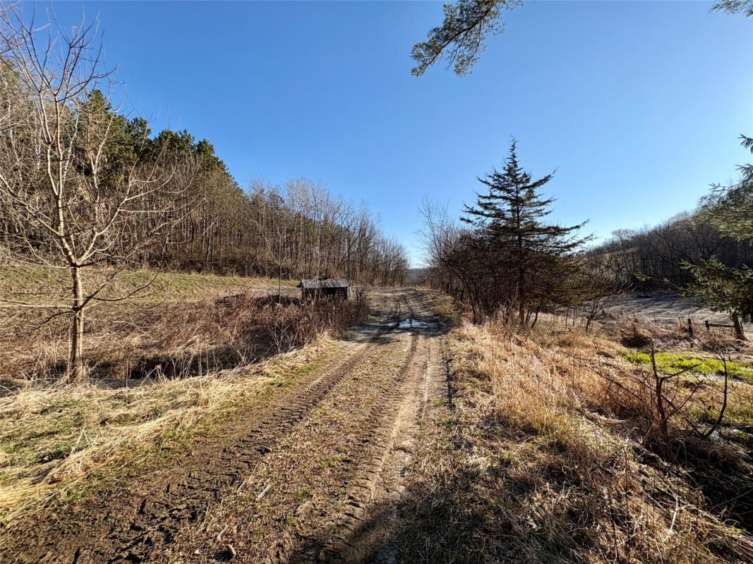 N3430 County Road II Bangor WI 54614 — photo 19