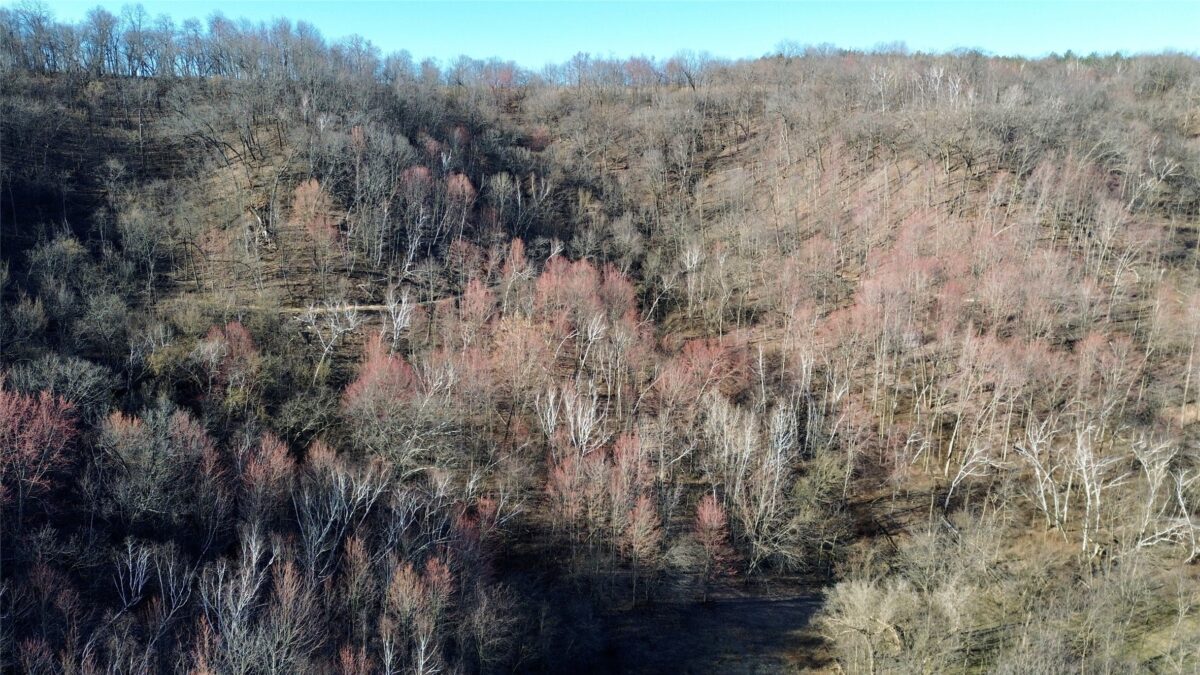 N3430 County Road II Bangor WI 54614 — photo 2