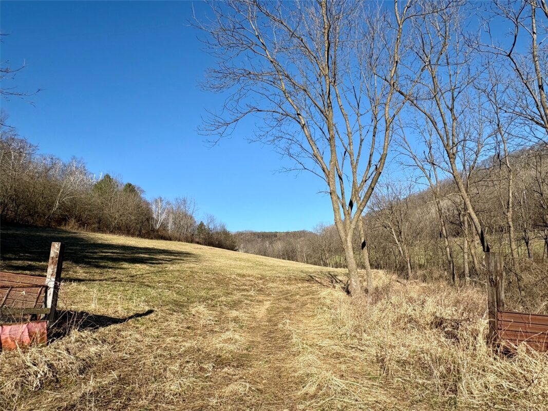 N3430 County Road II Bangor WI 54614 — photo 27