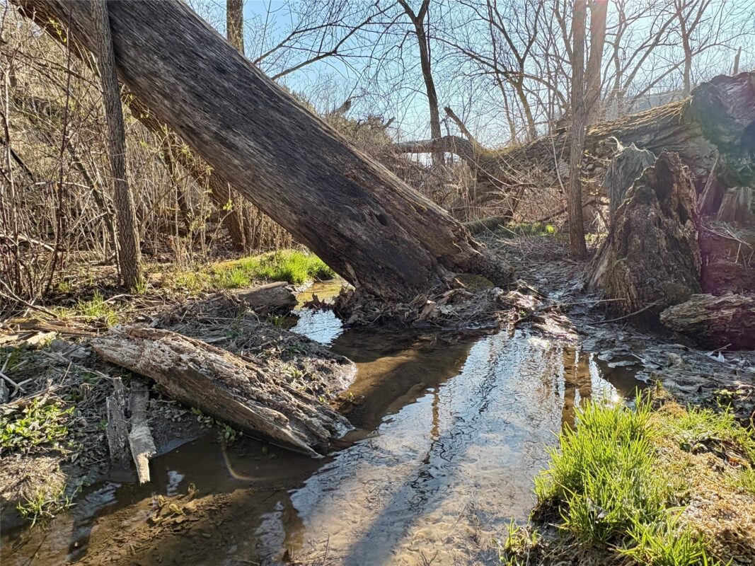 N3430 County Road II Bangor WI 54614 — photo 28