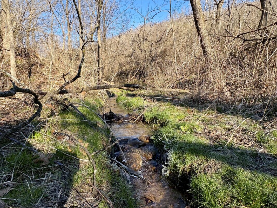 N3430 County Road II Bangor WI 54614 — photo 30