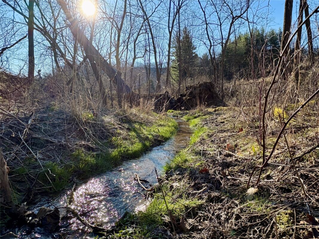 N3430 County Road II Bangor WI 54614 — photo 31