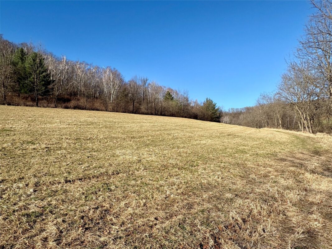 N3430 County Road II Bangor WI 54614 — photo 32
