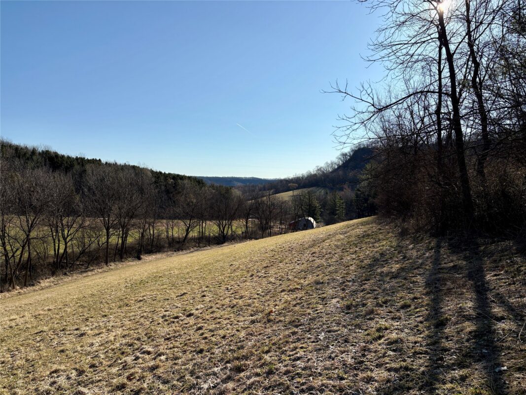 N3430 County Road II Bangor WI 54614 — photo 33