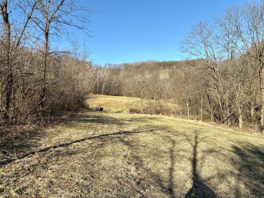 N3430 County Road II Bangor WI 54614 — photo 34