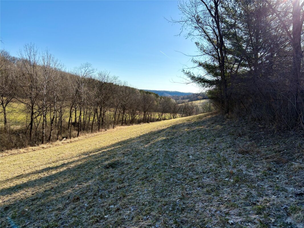 N3430 County Road II Bangor WI 54614 — photo 35