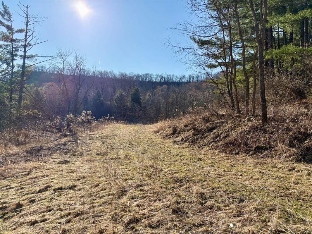 N3430 County Road II Bangor WI 54614 — photo 37