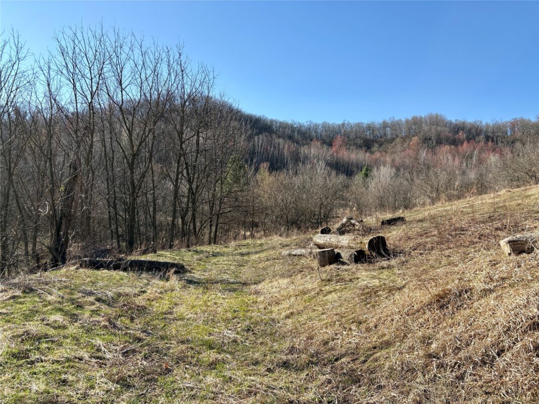 N3430 County Road II Bangor WI 54614 — photo 40