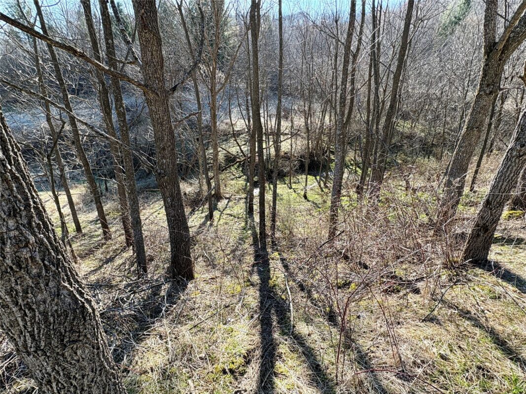 N3430 County Road II Bangor WI 54614 — photo 41
