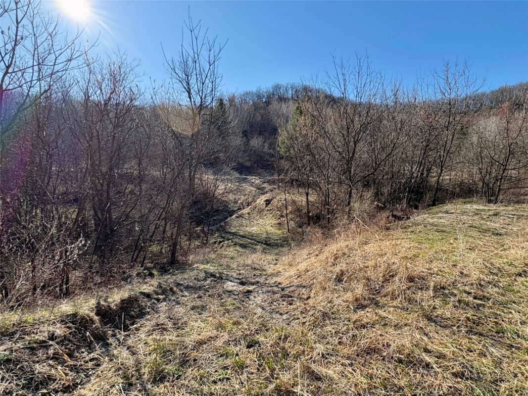 N3430 County Road II Bangor WI 54614 — photo 42