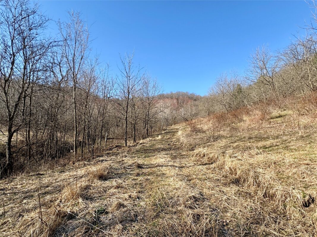 N3430 County Road II Bangor WI 54614 — photo 43